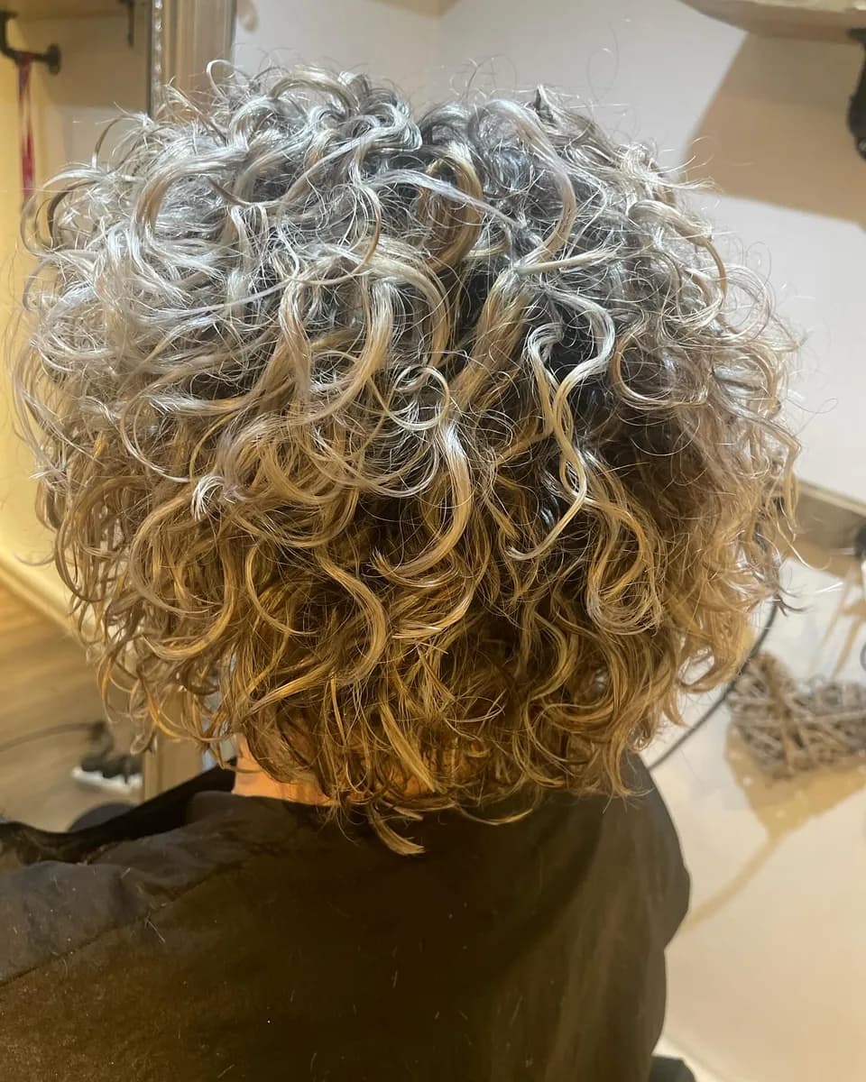 A head of silver-grey curls, cut short and defined